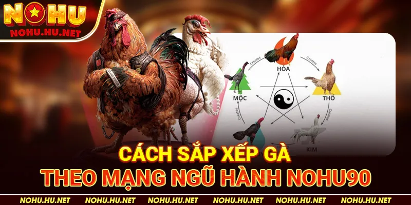 Cách Xem Màu Mạng Gà Đá Cựa Sắt tại nhà cái Nohu90