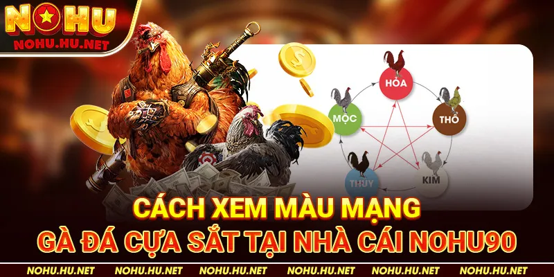 Cách Sắp Xếp Gà Theo Mạng Ngũ Hành Nohu90
