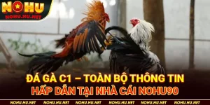 Đá-Gà-C1-–-Toàn-Bộ-Thông-Tin-Hấp-Dẫn-Tại-Nhà-Cái-Nohu90