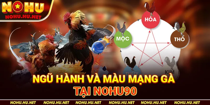 Ngũ Hành Và Màu Mạng Gà tại Nohu90