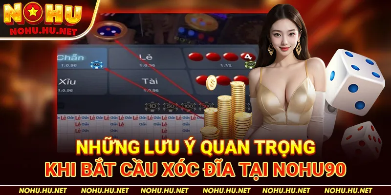 Những Lưu Ý Quan Trọng Khi Bắt Cầu Xóc Đĩa tại Nohu90