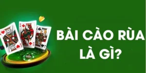 Bài cào rùa tại nhà cái Nohu90