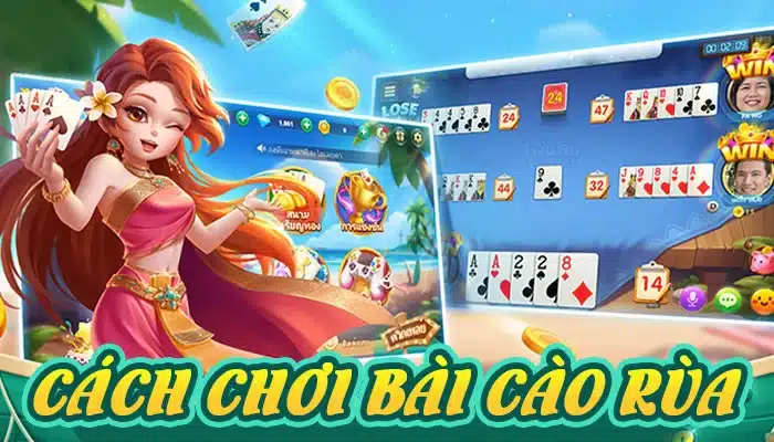 Cách chơi và mẹo cược thông minh khi tham gia Bài cào rùa trên Nohu